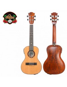 Leho Arce Flame Concierto...