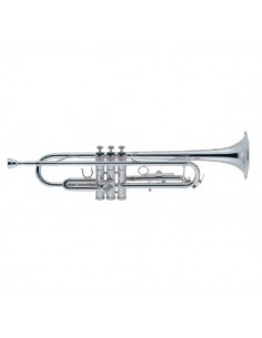 TROMPETA J. MICHAEL TR300...