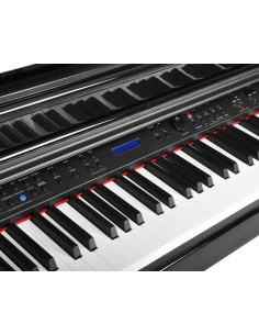 PIANO DE COLA DIGITAL... 2