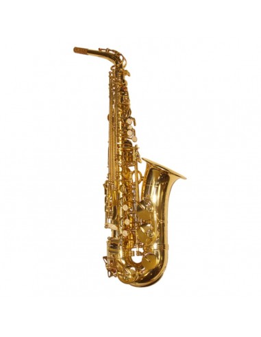 Elkhart 100AS Saxofón Alto