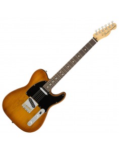 Fender American Performer...