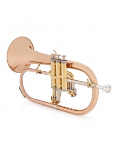 Fliscorno Intermedio Coppergate 